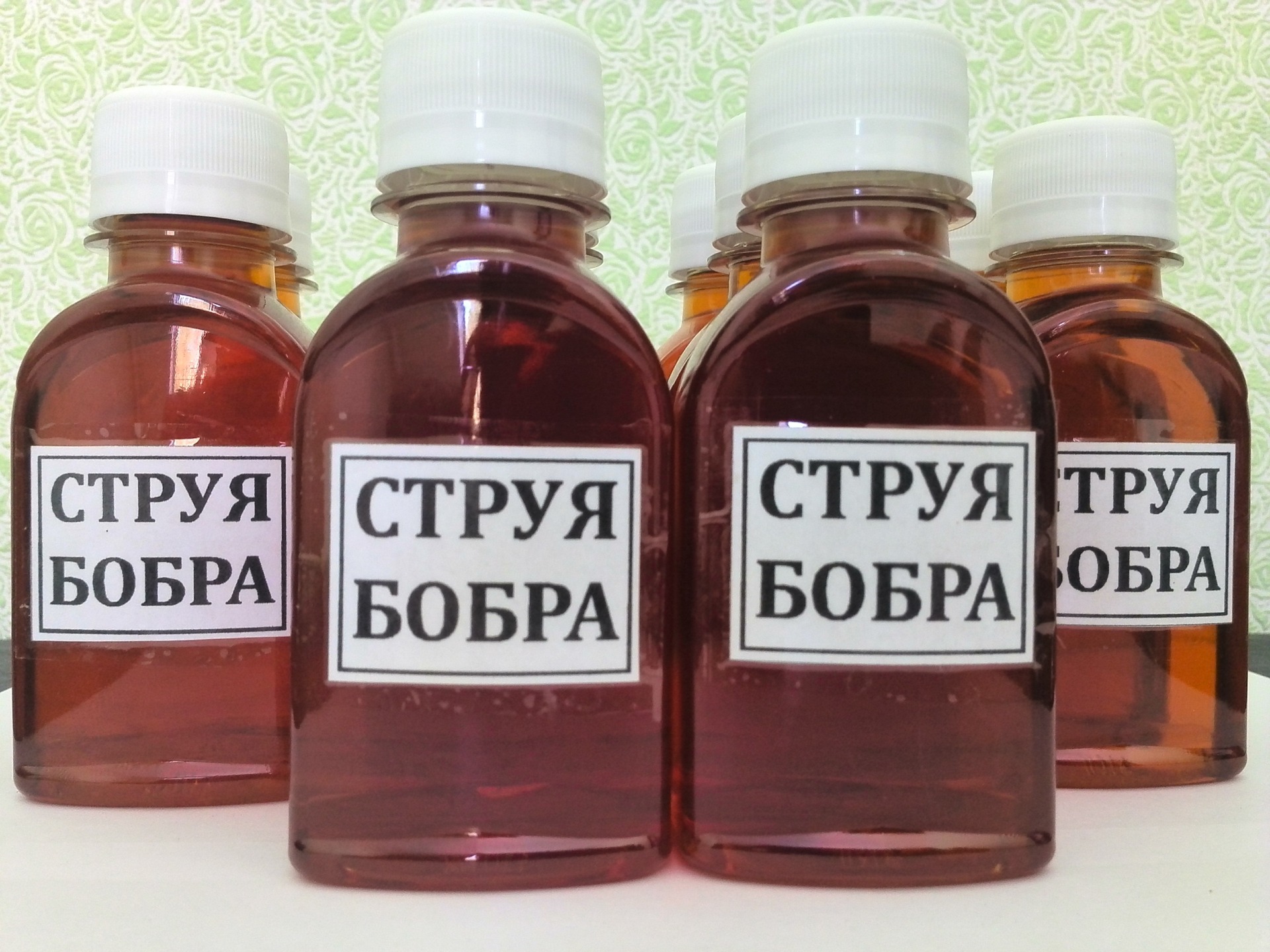 Струя бобра как лекарство при мастопатии Струя бобра как лекарство при мастопатии
